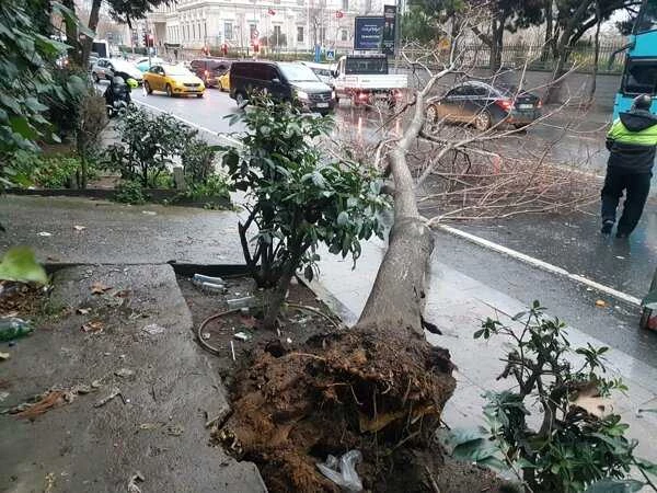 İstanbulʹda fırtına: Ağaçlar devrildi, çatılar uçtu